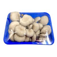 Hliva ustricová balená 300g/PL