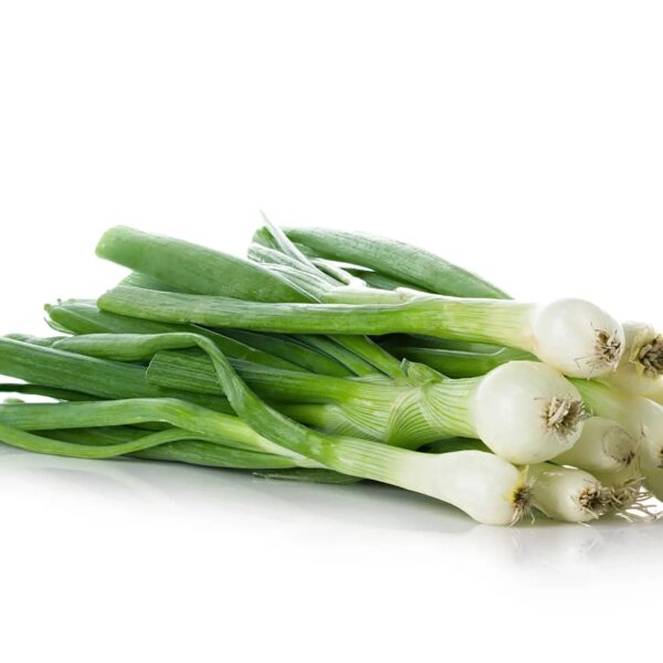 Cibuľka lahôdková zv/I./HU