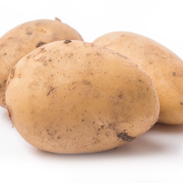 Zemiaky neskoré žlté var. typ B CameliaSK, žlté, ovál