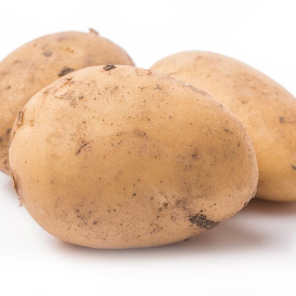 Zemiaky neskoré žlté var. typ B CameliaSK, žlté, ovál