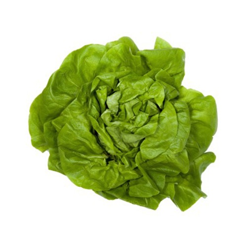 Šalát hlávkový/I.trieda/PL