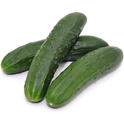 Uhorky šalatová/I./TR