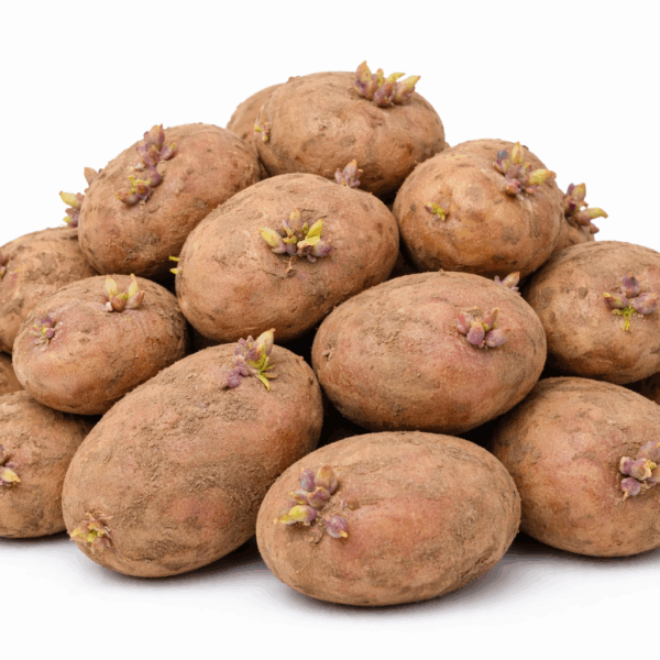 Zemiaky sadba Toporec / kg