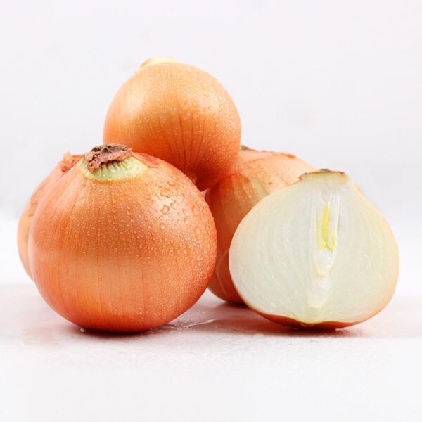 Cibuľa žltá/Crockett/I./CZ