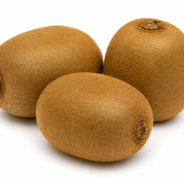 Kiwi Hayward I.tr. IT