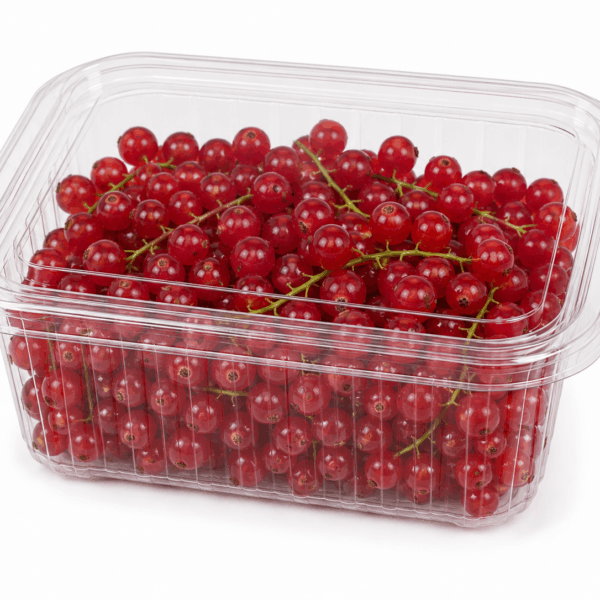 Ríbezľa červená 125 g bal./I.tr./NL
